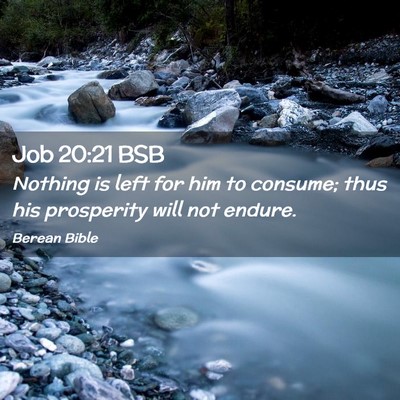 Picture 02 - Job 20:21 BSB - Nothing is left for him to consume; thus his - Bible Verse Picture