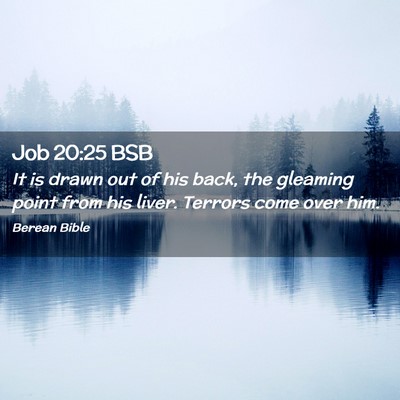Picture 02 - Job 20:25 BSB - It is drawn out of his back, the gleaming point - Bible Verse Picture