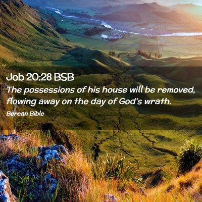 Picture 02 - Job 20:28 BSB - The possessions of his house will be removed, - Bible Verse Picture
