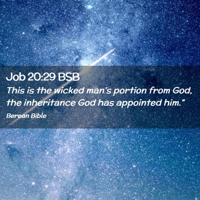 Picture 02 - Job 20:29 BSB - This is the wicked man’s portion from God, the - Bible Verse Picture