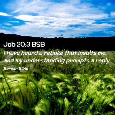 Picture 02 - Job 20:3 BSB - I have heard a rebuke that insults me, and my - Bible Verse Picture