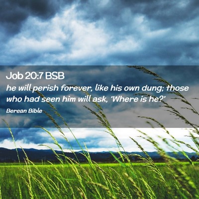 Picture 02 - Job 20:7 BSB - he will perish forever, like his own dung; those - Bible Verse Picture