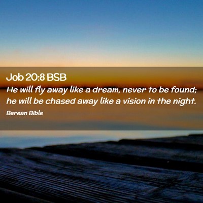 Picture 02 - Job 20:8 BSB - He will fly away like a dream, never to be found; - Bible Verse Picture