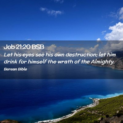 Picture 02 - Job 21:20 BSB - Let his eyes see his own destruction; let him - Bible Verse Picture