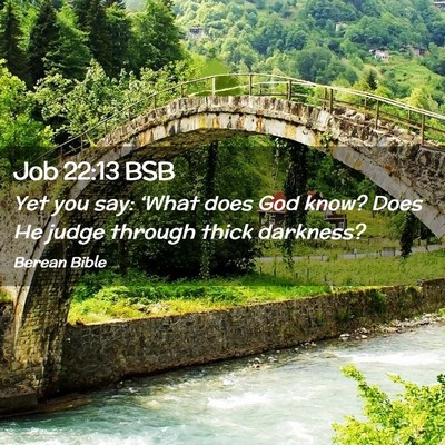 Picture 02 - Job 22:13 BSB - Yet you say: ‘What does God know? Does He judge - Bible Verse Picture