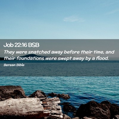 Picture 02 - Job 22:16 BSB - They were snatched away before their time, and - Bible Verse Picture