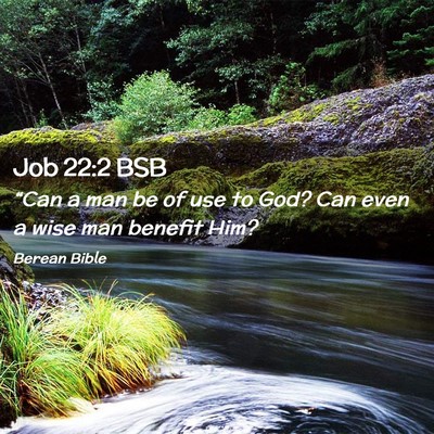 Picture 02 - Job 22:2 BSB - “Can a man be of use to God? Can even a wise - Bible Verse Picture