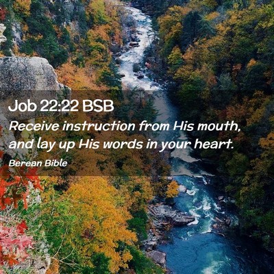 Picture 02 - Job 22:22 BSB - Receive instruction from His mouth, and lay up - Bible Verse Picture