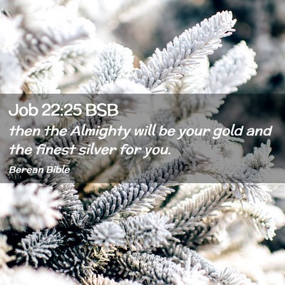 Picture 02 - Job 22:25 BSB - then the Almighty will be your gold and the - Bible Verse Picture
