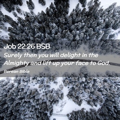 Picture 02 - Job 22:26 BSB - Surely then you will delight in the Almighty and - Bible Verse Picture