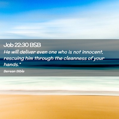 Picture 02 - Job 22:30 BSB - He will deliver even one who is not innocent, - Bible Verse Picture