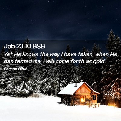 Picture 02 - Job 23:10 BSB - Yet He knows the way I have taken; when He has - Bible Verse Picture