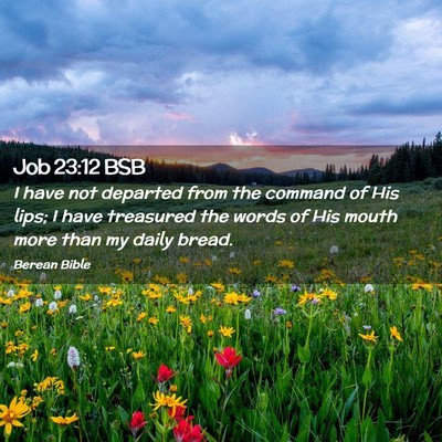 Picture 02 - Job 23:12 BSB - I have not departed from the command of His lips; - Bible Verse Picture
