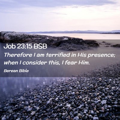 Picture 02 - Job 23:15 BSB - Therefore I am terrified in His presence; when I - Bible Verse Picture