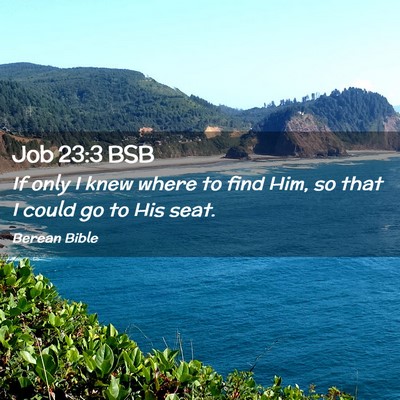Picture 02 - Job 23:3 BSB - If only I knew where to find Him, so that I could - Bible Verse Picture