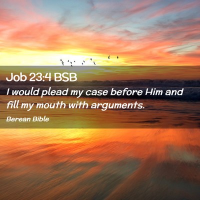 Picture 02 - Job 23:4 BSB - I would plead my case before Him and fill my - Bible Verse Picture