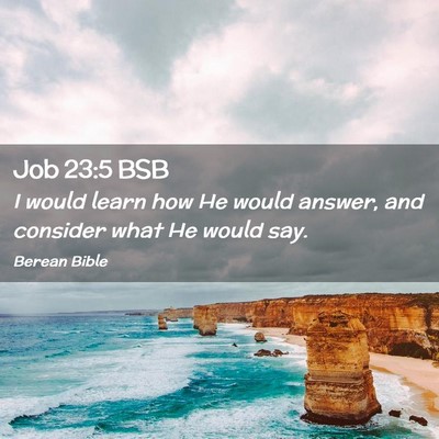 Picture 02 - Job 23:5 BSB - I would learn how He would answer, and consider - Bible Verse Picture
