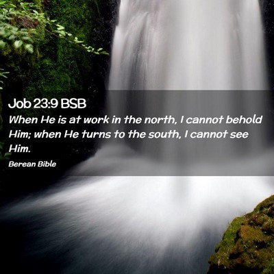 Picture 02 - Job 23:9 BSB - When He is at work in the north, I cannot behold - Bible Verse Picture