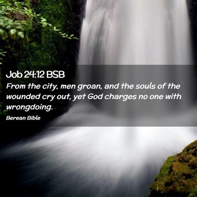 Picture 02 - Job 24:12 BSB - From the city, men groan, and the souls of the - Bible Verse Picture