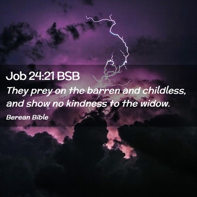 Picture 02 - Job 24:21 BSB - They prey on the barren and childless, and show - Bible Verse Picture