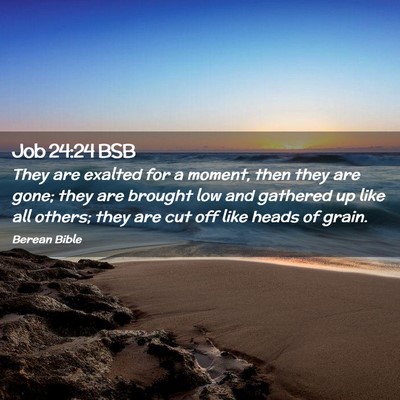 Picture 02 - Job 24:24 BSB - They are exalted for a moment, then they are - Bible Verse Picture