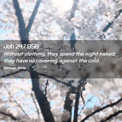 Picture 02 - Job 24:7 BSB - Without clothing, they spend the night naked; - Bible Verse Picture