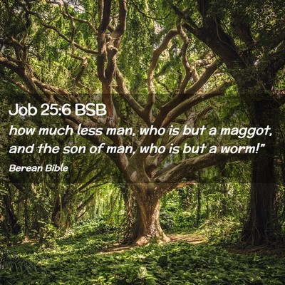 Picture 02 - Job 25:6 BSB - how much less man, who is but a maggot, and the - Bible Verse Picture