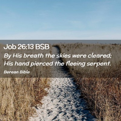 Picture 02 - Job 26:13 BSB - By His breath the skies were cleared; His hand - Bible Verse Picture