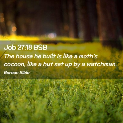 Picture 02 - Job 27:18 BSB - The house he built is like a moth’s cocoon, - Bible Verse Picture
