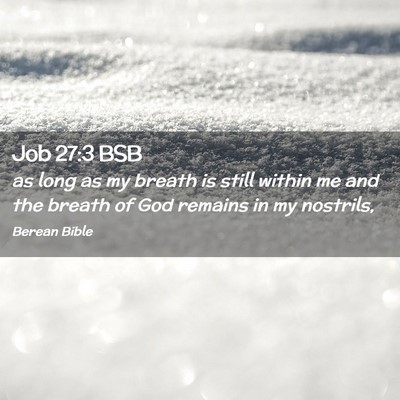 Picture 02 - Job 27:3 BSB - as long as my breath is still within me and the - Bible Verse Picture