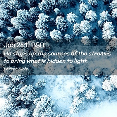 Picture 02 - Job 28:11 BSB - He stops up the sources of the streams to bring - Bible Verse Picture