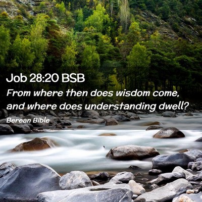 Picture 02 - Job 28:20 BSB - From where then does wisdom come, and where does - Bible Verse Picture