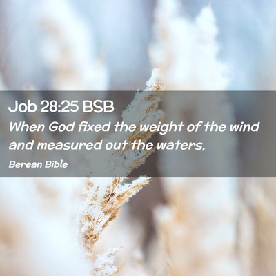 Picture 02 - Job 28:25 BSB - When God fixed the weight of the wind and - Bible Verse Picture