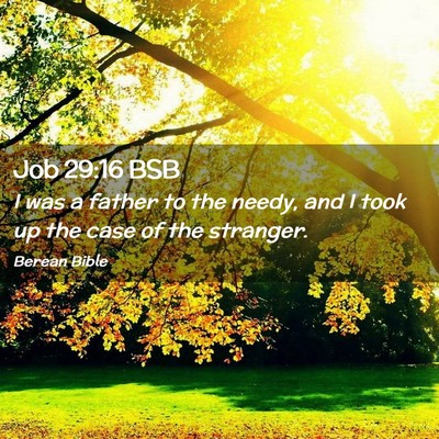 Picture 02 - Job 29:16 BSB - I was a father to the needy, and I took up the - Bible Verse Picture