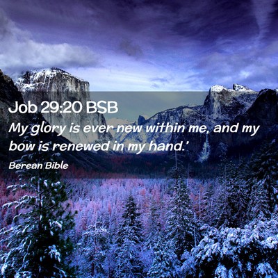 Picture 02 - Job 29:20 BSB - My glory is ever new within me, and my bow is - Bible Verse Picture