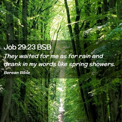 Picture 02 - Job 29:23 BSB - They waited for me as for rain and drank in my - Bible Verse Picture