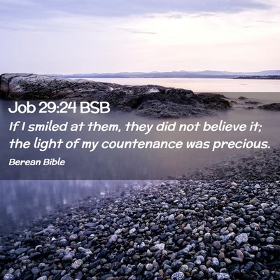 Picture 02 - Job 29:24 BSB - If I smiled at them, they did not believe it; the - Bible Verse Picture