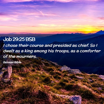 Picture 02 - Job 29:25 BSB - I chose their course and presided as chief. So I - Bible Verse Picture