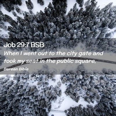 Picture 02 - Job 29:7 BSB - When I went out to the city gate and took my seat - Bible Verse Picture