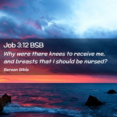 Picture 02 - Job 3:12 BSB - Why were there knees to receive me, and breasts - Bible Verse Picture