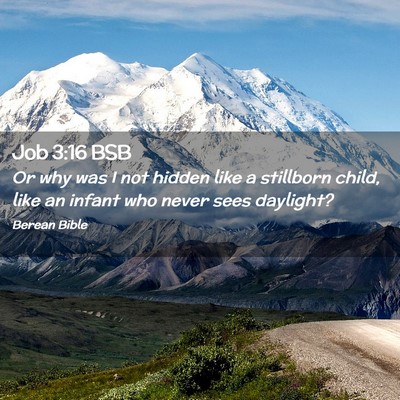 Picture 02 - Job 3:16 BSB - Or why was I not hidden like a stillborn child, - Bible Verse Picture