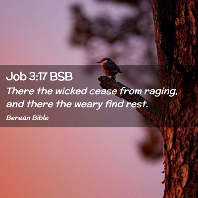 Picture 02 - Job 3:17 BSB - There the wicked cease from raging, and there the - Bible Verse Picture