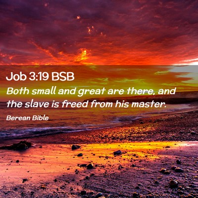 Picture 02 - Job 3:19 BSB - Both small and great are there, and the slave is - Bible Verse Picture