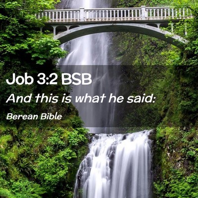 Picture 02 - Job 3:2 BSB - And this is what he - Bible Verse Picture