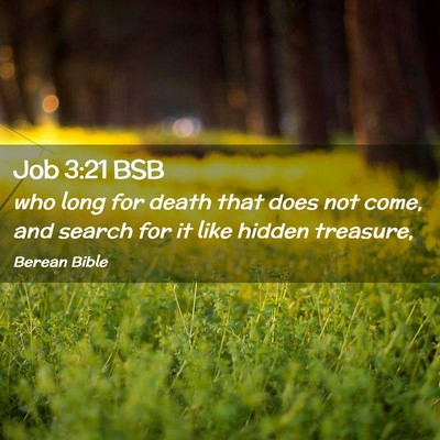 Picture 02 - Job 3:21 BSB - who long for death that does not come, and search - Bible Verse Picture