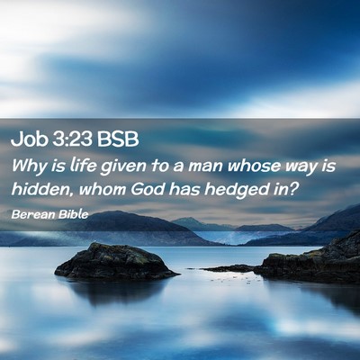 Picture 02 - Job 3:23 BSB - Why is life given to a man whose way is hidden, - Bible Verse Picture