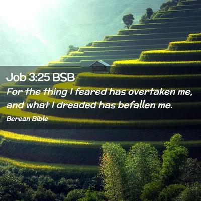 Picture 02 - Job 3:25 BSB - For the thing I feared has overtaken me, and what - Bible Verse Picture