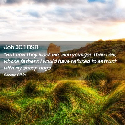 Picture 02 - Job 30:1 BSB - “But now they mock me, men younger than I am, - Bible Verse Picture
