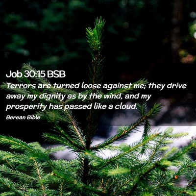 Picture 02 - Job 30:15 BSB - Terrors are turned loose against me; they drive - Bible Verse Picture