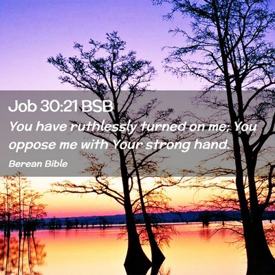 Picture 02 - Job 30:21 BSB - You have ruthlessly turned on me; You oppose me - Bible Verse Picture
